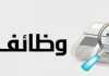 في 14 محافظة.. وظائف خالية داخل 77 شركة (إنفوجراف)