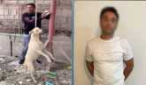 ضبط شخص لتعديه على كلب ضال وربطه بأحد أعمدة الإنارة حتى نفوقه
