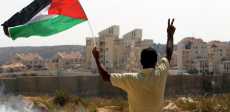 فلسطين - صورة أرشيفية