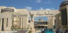 جامعة سيناء