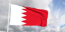 العلم البحرينى