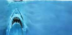 Jaws