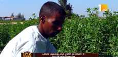أحد الأشقاء