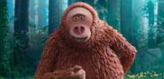 Missing Link