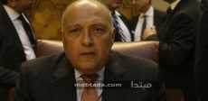 سامح شكرى