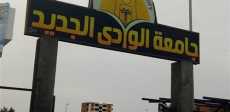 جامعة الوادى الجديد