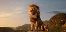 The Lion King