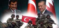 أردوغان وتميم