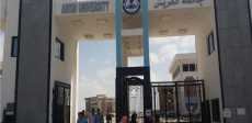 جامعة العريش