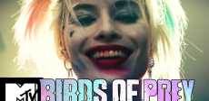 BIRDS OF PREY