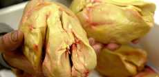 فواجرا