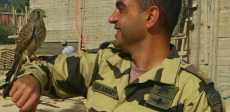 أحمد منسى