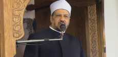 مجدى عاشور