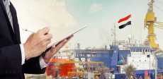 الاستثمار الأجنبى