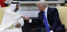 محمد بن زايد وترامب