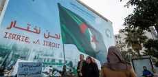 انتخابات الجزائر