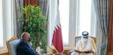 شكري وأمير قطر