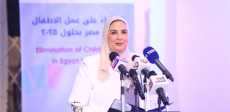 نيفين القباج