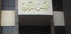 مجلس الدولة