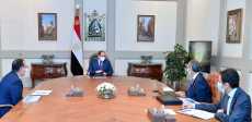 السيسي