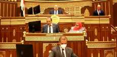 مجلس الشيوخ