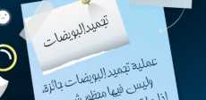 الإفتاء