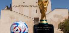 كرة كأس العالم
