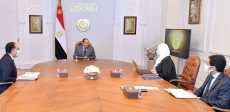 الرئيس السيسى
