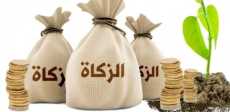 زكاة الفطر