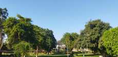 حدائق الرى بالقناطر الخيرية