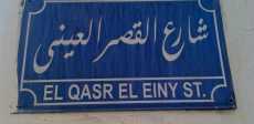 قصر العينى