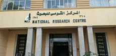 المركز القومي للبحوث