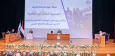 وزير الدولة للإنتاج الحربى