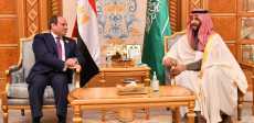 الرئيس السيسى وولى العهد السعودى