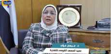جيهان فؤاد