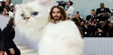 Met Gala 2023