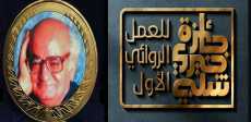 جائزة خيرى شلبى للعمل الروائى