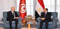 الرئيس السيسى ونظيره التونسى