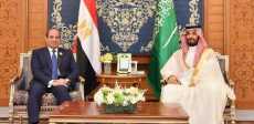لقاء الرئيس السيسى مع ولى العهد السعودى