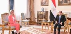 السيسى يستقبل الأمين العام للاتحاد الدولى للاتصالات