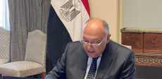 الوزير شكري
