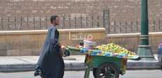بائع تين شوكى
