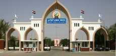 جامعة جنوب الوادى