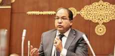 النائب عادل اللمعي