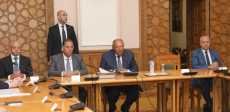 سامح شكري