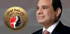 حزب حماة الوطن يدعم الرئيس