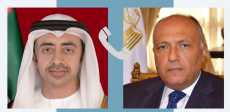 شكري ونظيره الاماراتي