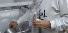صور