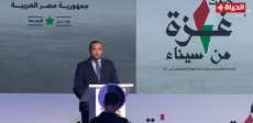 حاتم متولي
