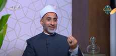 الدكتور السيد عبد الباري